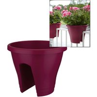 Corsica Flower Bridge® cherry, 30 cm ø